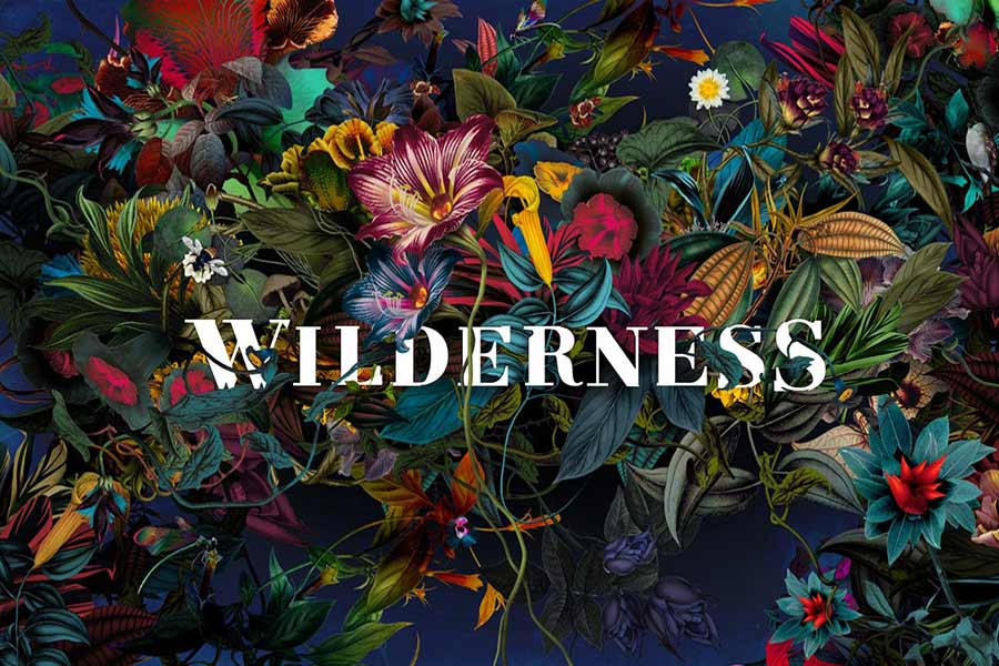 Wilderness Festival Glamping